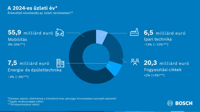 The 2024 business year: Bosch held back by market developments